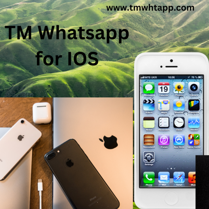 TM Whatsapp For IOS Can We Download It?